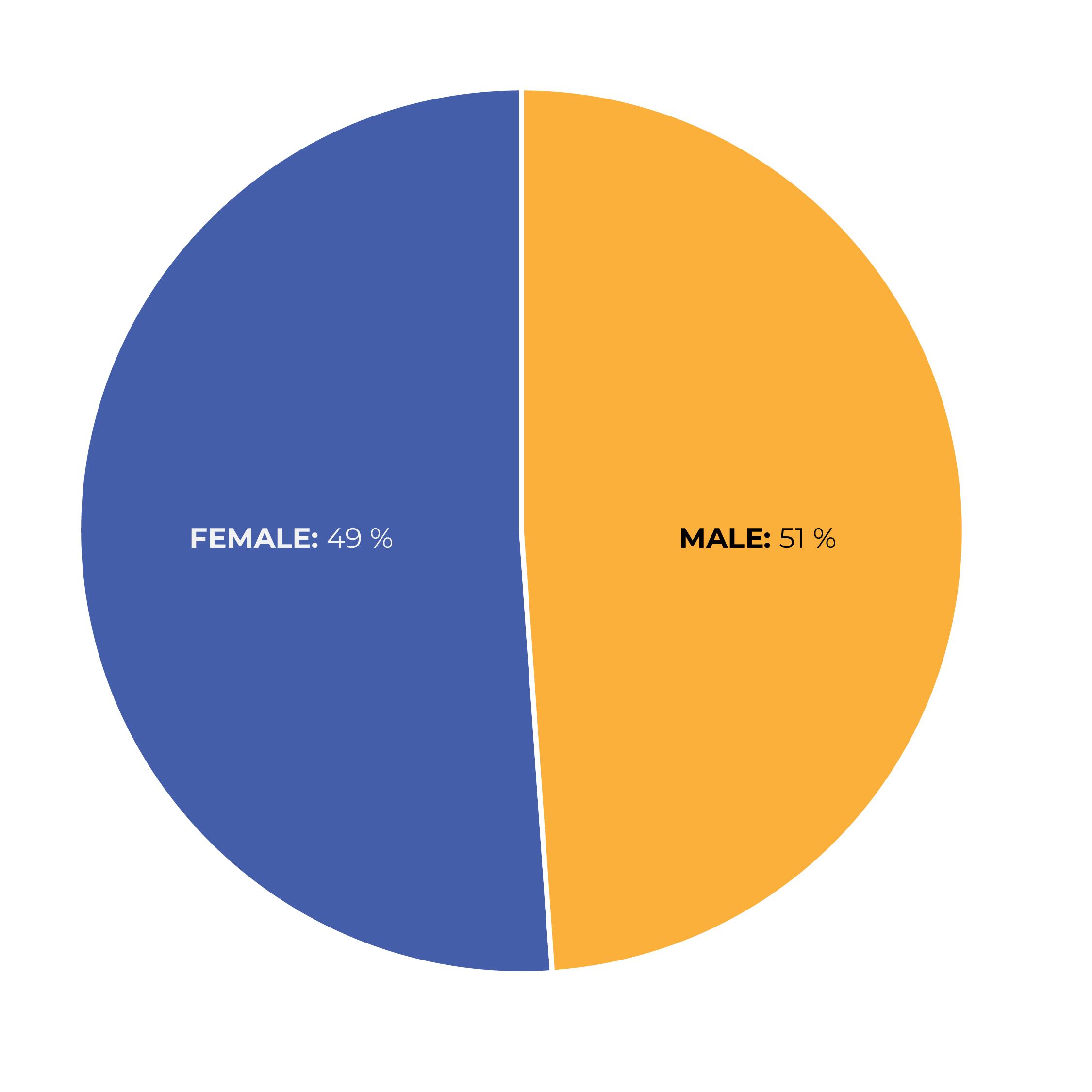 Pie chart showing gender breakdown